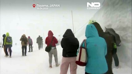 Un corridor de neige déblayé à travers une route de montagne dans le nord du Japon