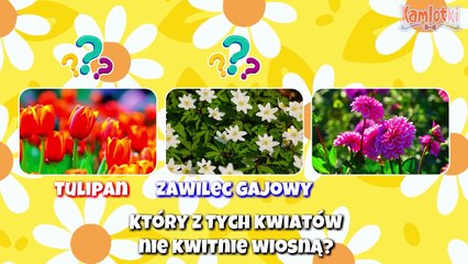 Wielkanoc _ Bajki edukacyjne dla dzieci _ 40 minut