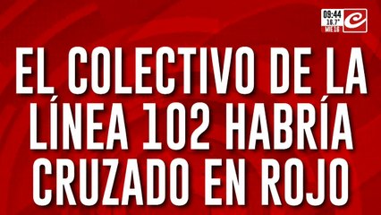 Accidente en Congreso: el chofer de la línea 102 habría cruzado en rojo