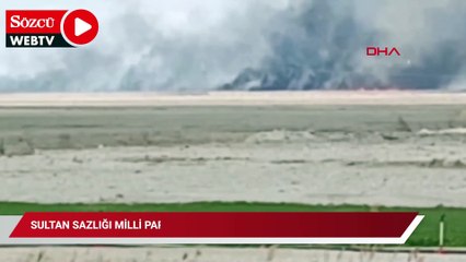 Sultan Sazlığı Milli Parkı'nda yangın