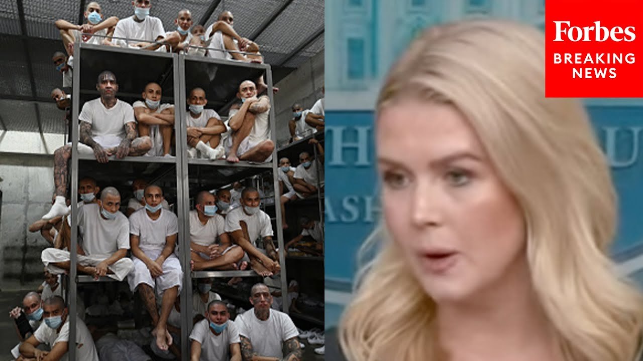 Karoline Leavitt Pressed For Information About The People Who Were Deported To El Salvador