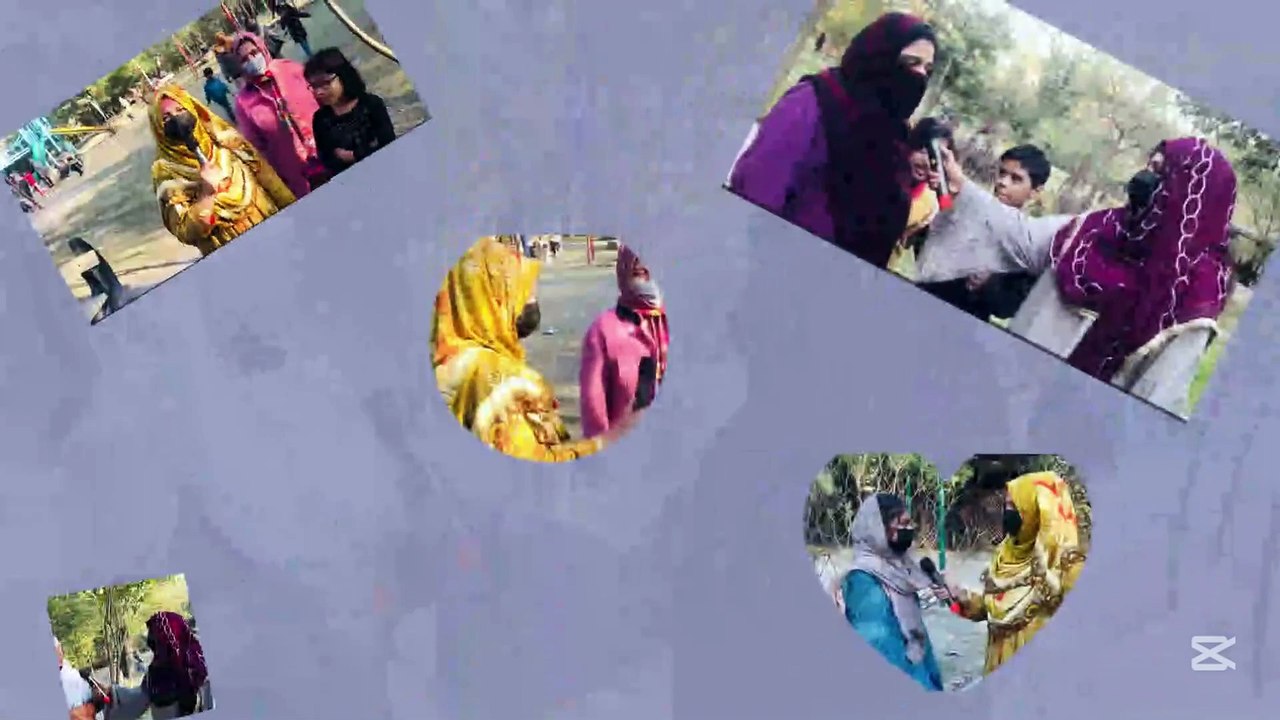 Why don't these women work online What did he say that even the anchor was surprised?