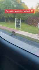 Waiting for his next victim...