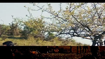 مسلسل المؤسس عثمان الحلقة 188 مترجم