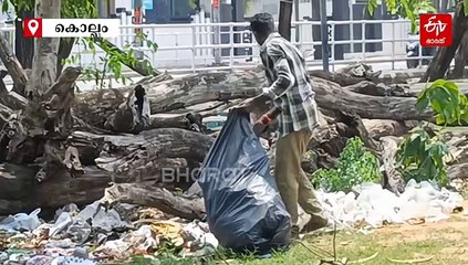 നീണ്ട പരിശ്രമത്തിനൊടുവില്‍ പൂര പറമ്പ് ശുചീകരിച്ച് കൊല്ലം കോർപ്പറേഷൻ; തൊഴിലാളികളുടെ പ്രയത്‌നത്തിന് സല്യൂട്ട്...