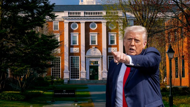 Pourquoi Donald Trump s'en prend aux universités américaines