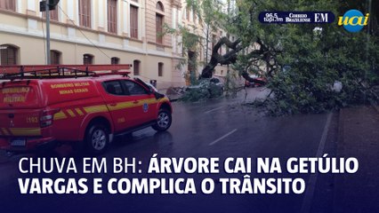 Árvore cai na avenida Getúlio Vargas durante a chuva e complica o trânsito na Savassi