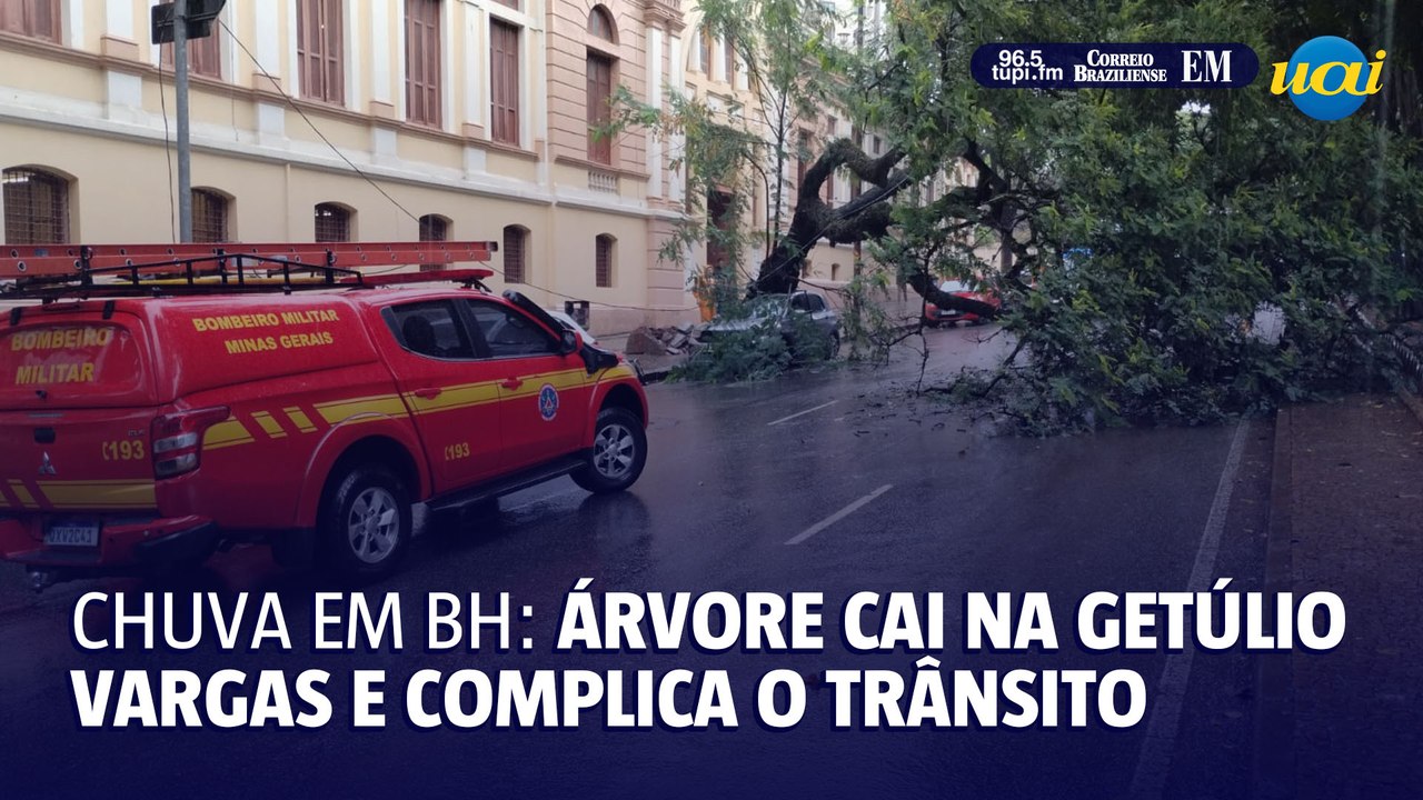 Árvore cai na avenida Getúlio Vargas durante a chuva e complica o trânsito na Savassi