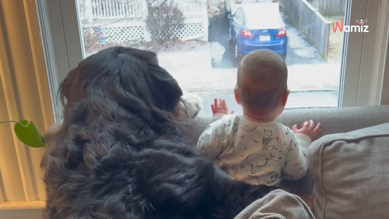 Hündin und ihr kleiner Mensch verbindet etwas Außergewöhnliches