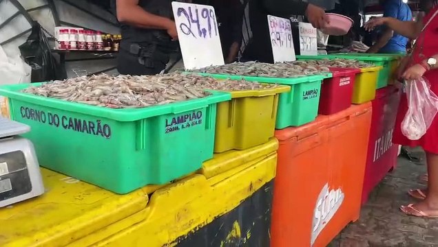 Vídeo: Operação nas feiras de São Joaquim e Sete Portas termina com sete pessoas levadas para delegacia