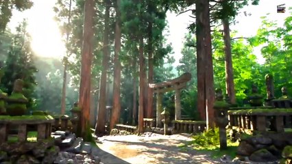 Assassin's Creed Shadows Ch 11: Lady Nene