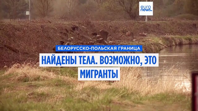 На польско-белорусской границе найдены тела. Это, предположительно, нелегалы