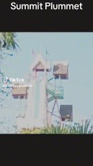 Disney's Blizzard Beach Water Park Bay Lake, FL 2024