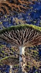 Saleemoffical presentation - How amazing is our planet.#planet
