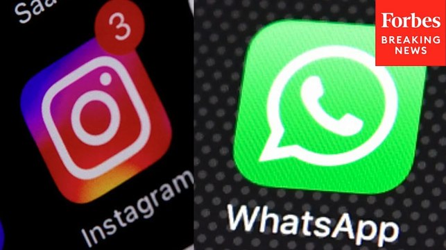 Expert Explains: As FTC Looks To Break Up Meta, Which Of Its Subsidiaries Is The 'Golden Goose?