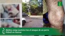 Médico de 75 años herido al defender a su perro de un ataque en Gascue