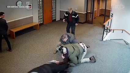 Elderly Bystander Knocked to Ground in N.H. Courthouse When Federal Agents Lunge at Immigrant in Dogpile Arrest: Watch