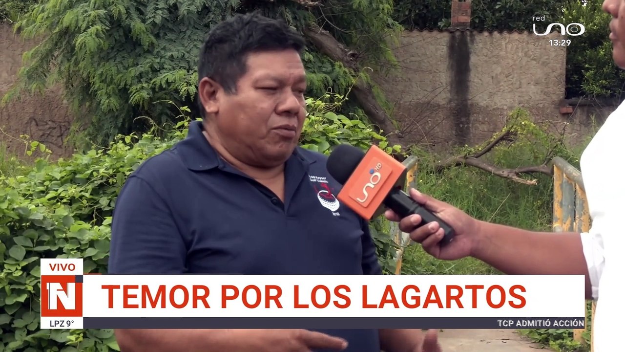 lagartos