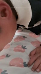 Le Bernard-l’ermite est bien plus qu’un simple crustacé… Il vole, il pince, il casse des noix de coco 😱🦀Abonne-toi pour ne rien manquer ! 🐚