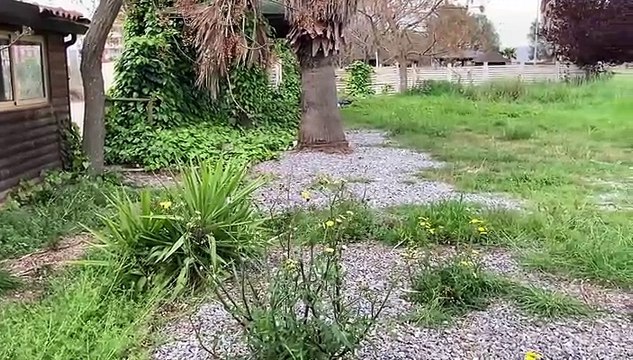 Vibo, Moderata Durant nel degrado: i crateri di via Spadolini e la patata bollente del parco urbano