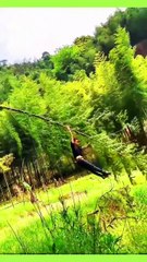 Why Bamboo Bends But Never Breaks – A Powerful Life Lesson from Nature