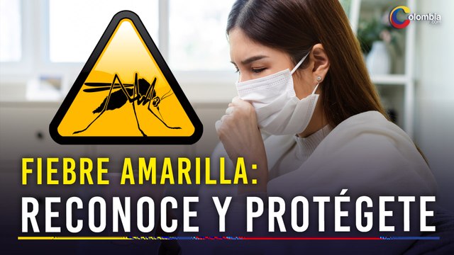 Fiebre Amarilla: ¿Cuáles son los Síntomas Más Peligrosos? | Señales de Alerta Temprana