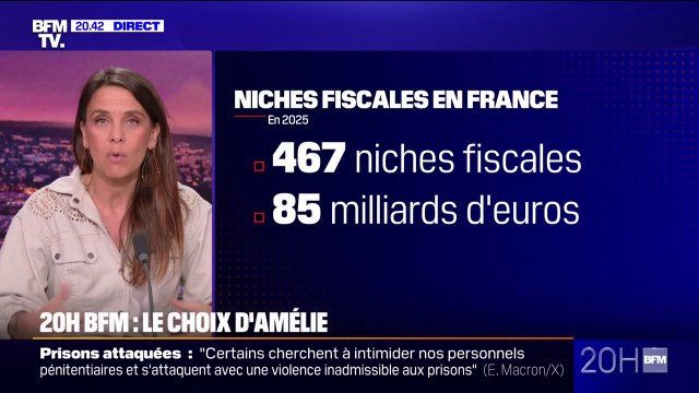 LE CHOIX D'AMÉLIE - 40 milliards d'euros d'économies: faut-il supprimer les niches fiscales?