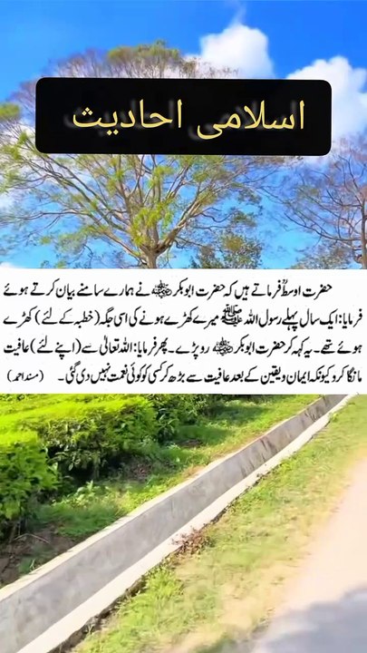 Islamic Hadiths - May Allah Almighty grant us the ability to act on these Hadiths. Like the video, share it and don't forget to subscribe to our channel so that more Hadiths and Islamic information continue to reach you.