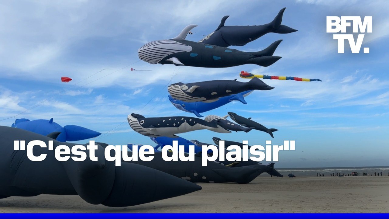 Pas-de-Calais: les rencontres de cerfs-volants battent un record du monde avec 20 baleines en simultané dans le ciel de Berck-sur-Mer