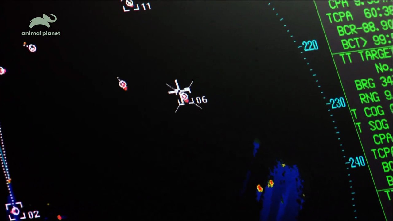 Whale Wars_S05E04_Im Angesicht des Feindes