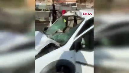 Yola fırlayan at polis aracının içine girdi! Polisler ağır yaralandı