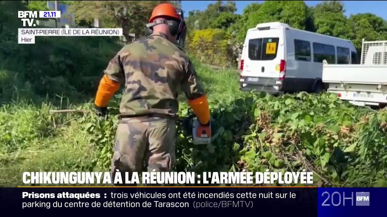 Chikungunya à La Réunion: 120 militaires mobilisés