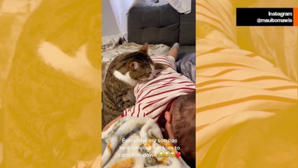 Bu kedi ve bebek videosu bugün göreceğiniz en tatlı şey!