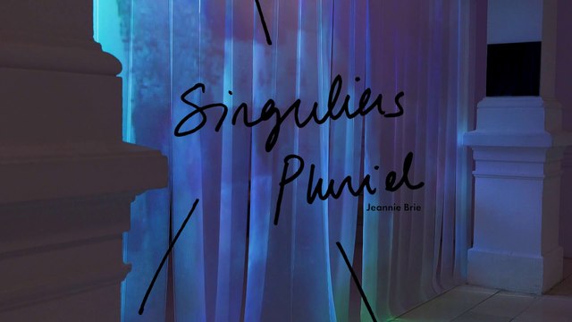 Singuliers Pluriel, Galeries Poirel, Jeannie Brie