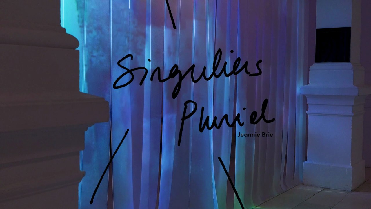 Singuliers Pluriel, Galeries Poirel, Jeannie Brie