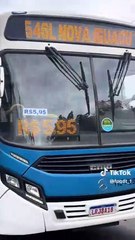 Homem invade ônibus e assume controle após luta com motorista no Rio