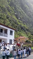 Homenagem a menina que morreu em Viseu