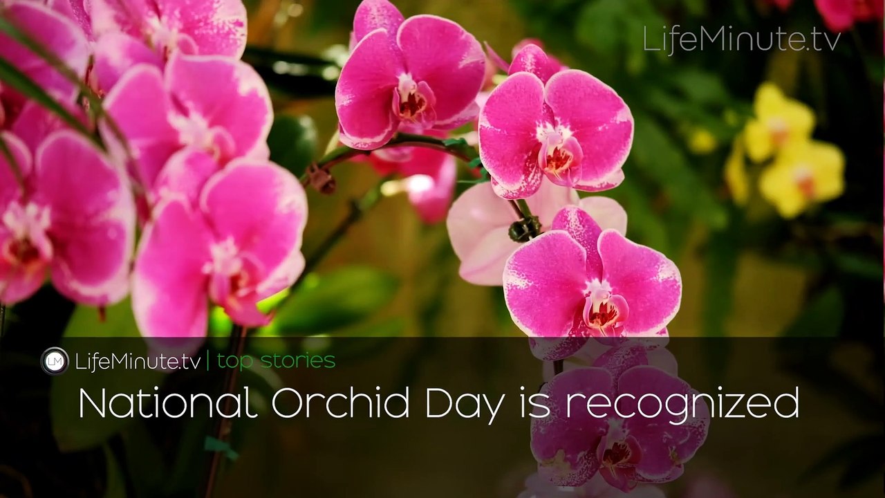 Demi Moore, Ed Sheeran, Snoop Dogg, Simone Biles Named to TIME100; Game Show Legend Wink Martindale Dies at 91; Celebrity Birthdays