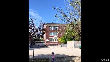 Never Eating Chicken Nuggets Again