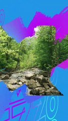 Wow! China Ciptakan Mobil Canggih yang Bisa Berjalan di Atas Air