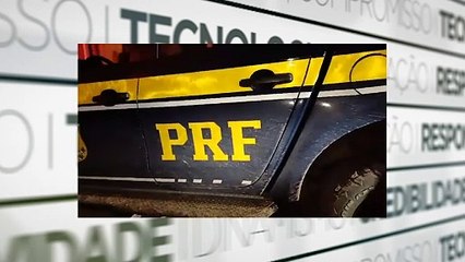 PRF apreende 203 kg de skunk em falsa mudança