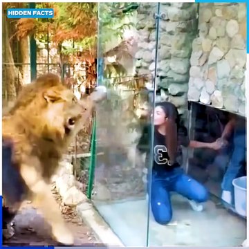 Dangerous Moments! Idiot People's Funniest Fails Caught on Camera 😂 | Epic Fails & Crazy Accidents