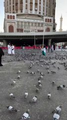 Naat umar Umar