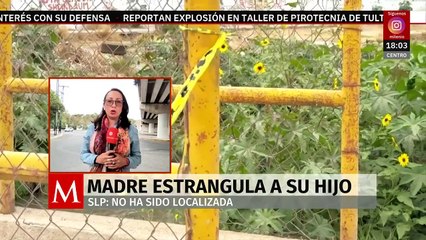 Encuentran muerta a mujer que estranguló a su hijo de 6 años en SLP; se quitó la vida en un puente