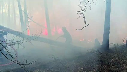 DR Vidéo du SDIS 35