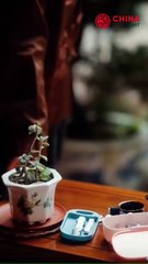 [EPISODE 3] Antara Patuh dan Memberontak – Antara Pemanfaatan dan Perasaan (Sulih Suara)