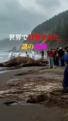 世界で目撃された 謎の痕跡