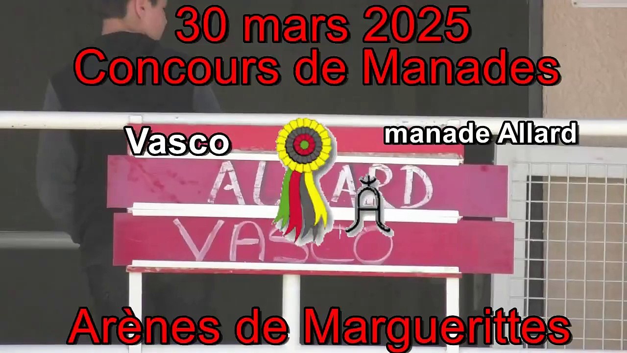 2025 03 30 Vasco
