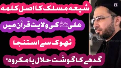 Irshad bhatti with allama shehnshah Hussain naqvi