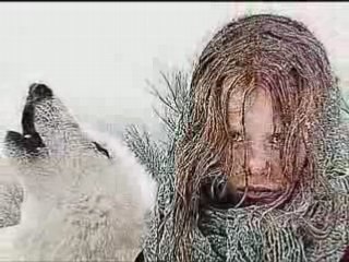 michel berger - comme des loups